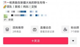 新疆导游爆料新闻视频,揭秘新疆旅游背后的真相