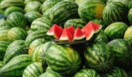 陇南康县网红吃瓜视频,揭秘陇南美食新风尚